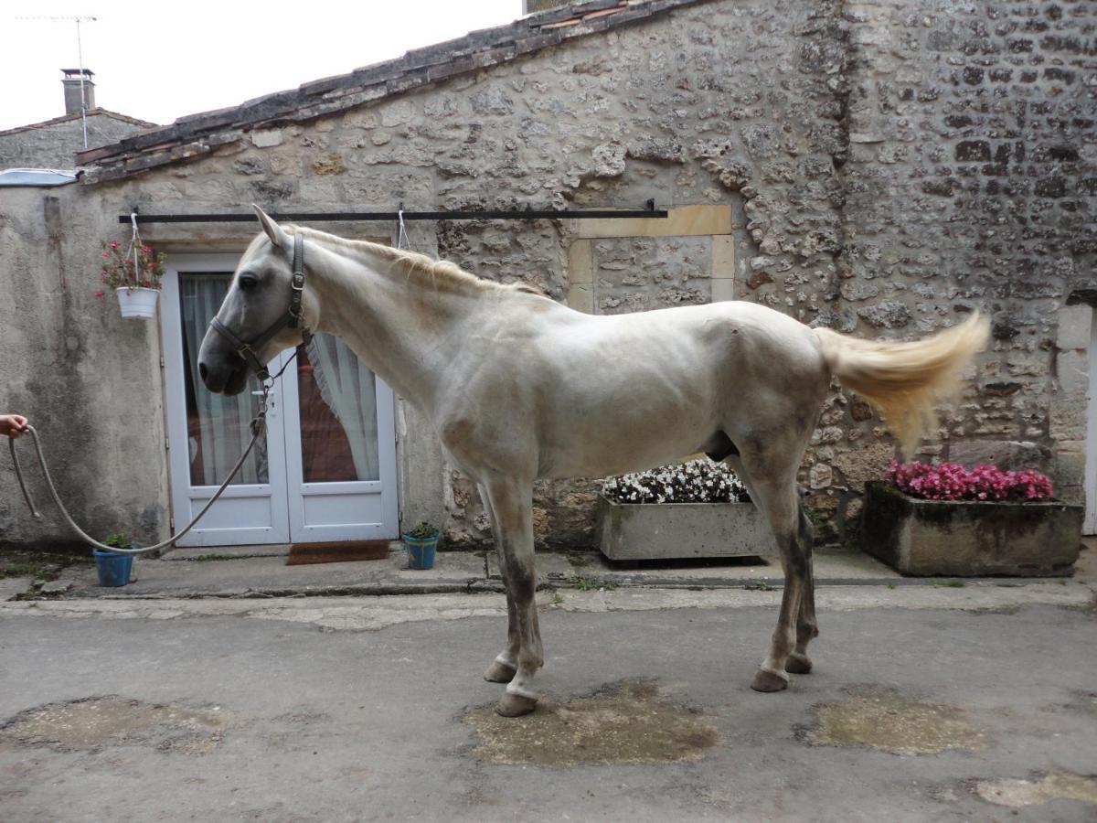 Des Ecuries Du Seillery *